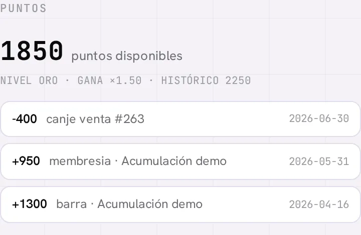 La sección de Puntos en la ficha del socio: saldo disponible, nivel Oro con multiplicador ×1.50, puntos históricos y el historial de ganancias y canjes