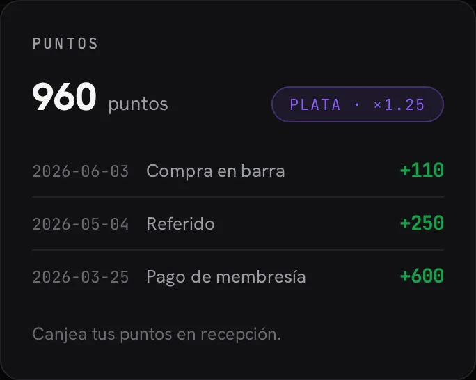 Puntos, nivel Plata con su multiplicador e historial de movimientos