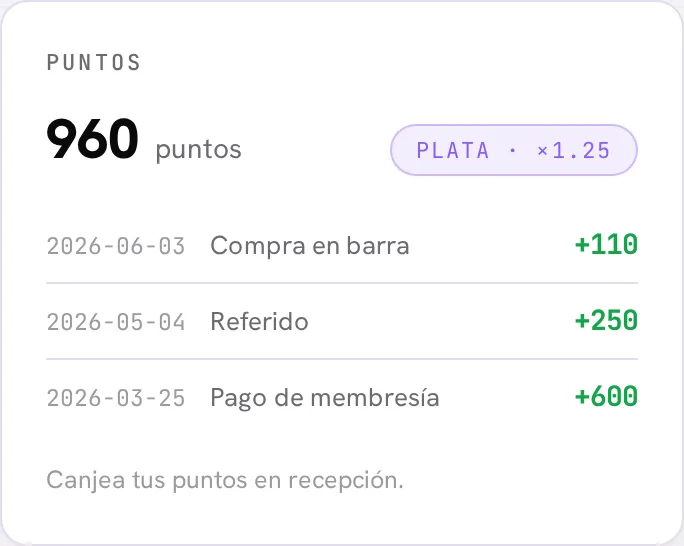 Puntos, nivel Plata con su multiplicador e historial de movimientos
